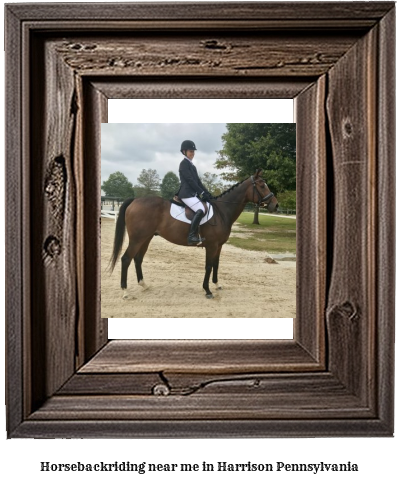 horseback riding near me in Harrison, Pennsylvania